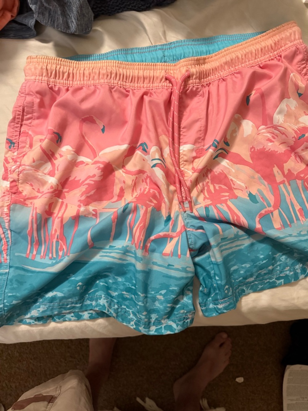 No Boundaries Pink & Teal Flamingo Swim Trunks